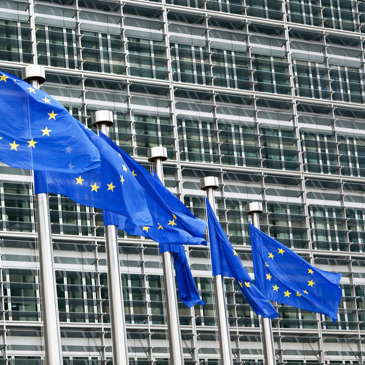 Outside of European Parliament building in Brussels with EU flags lined up in front