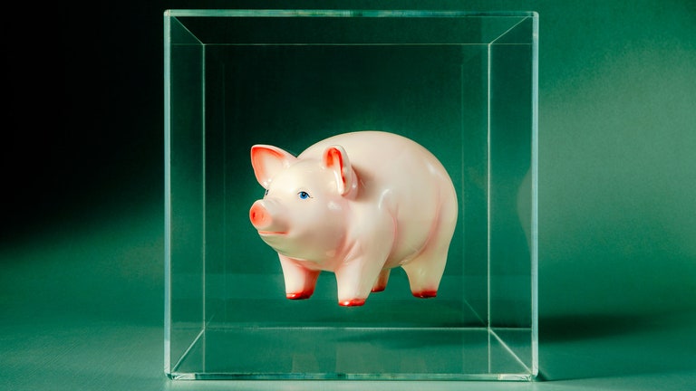 Piggy bank floating in a clear box on a green background