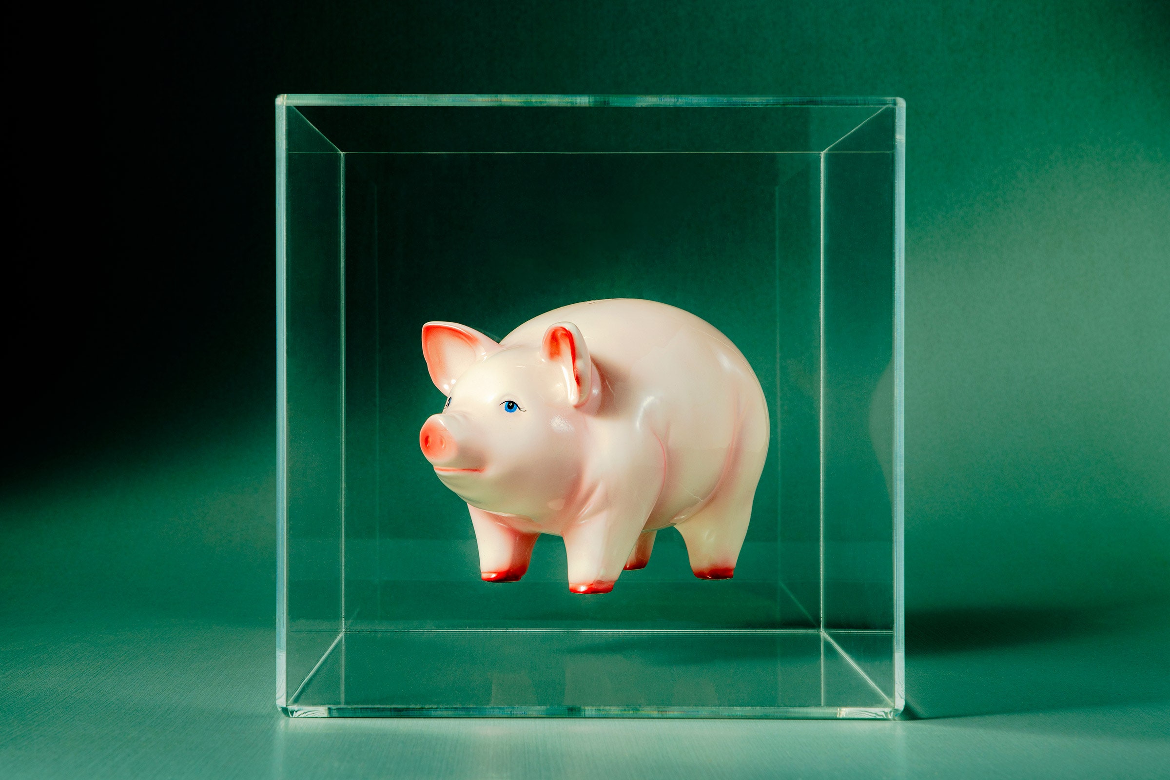 Piggy bank floating in a clear box on a green background