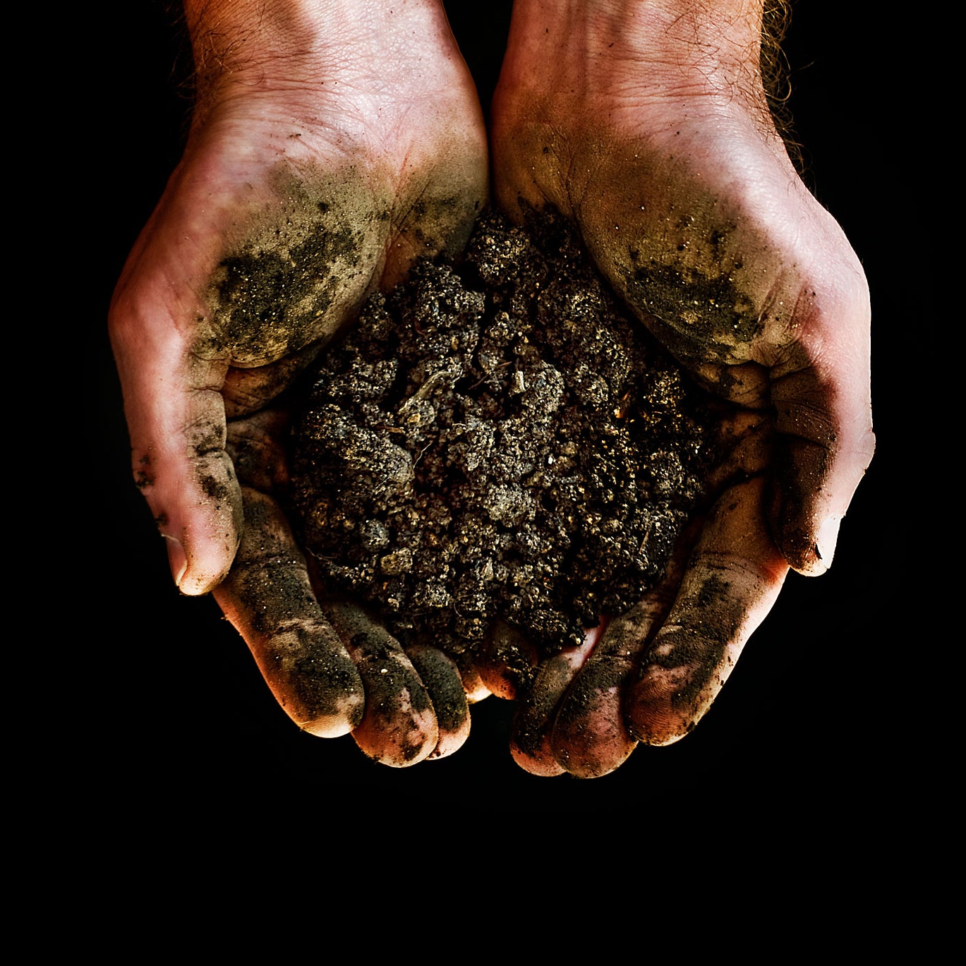 hand holding soil