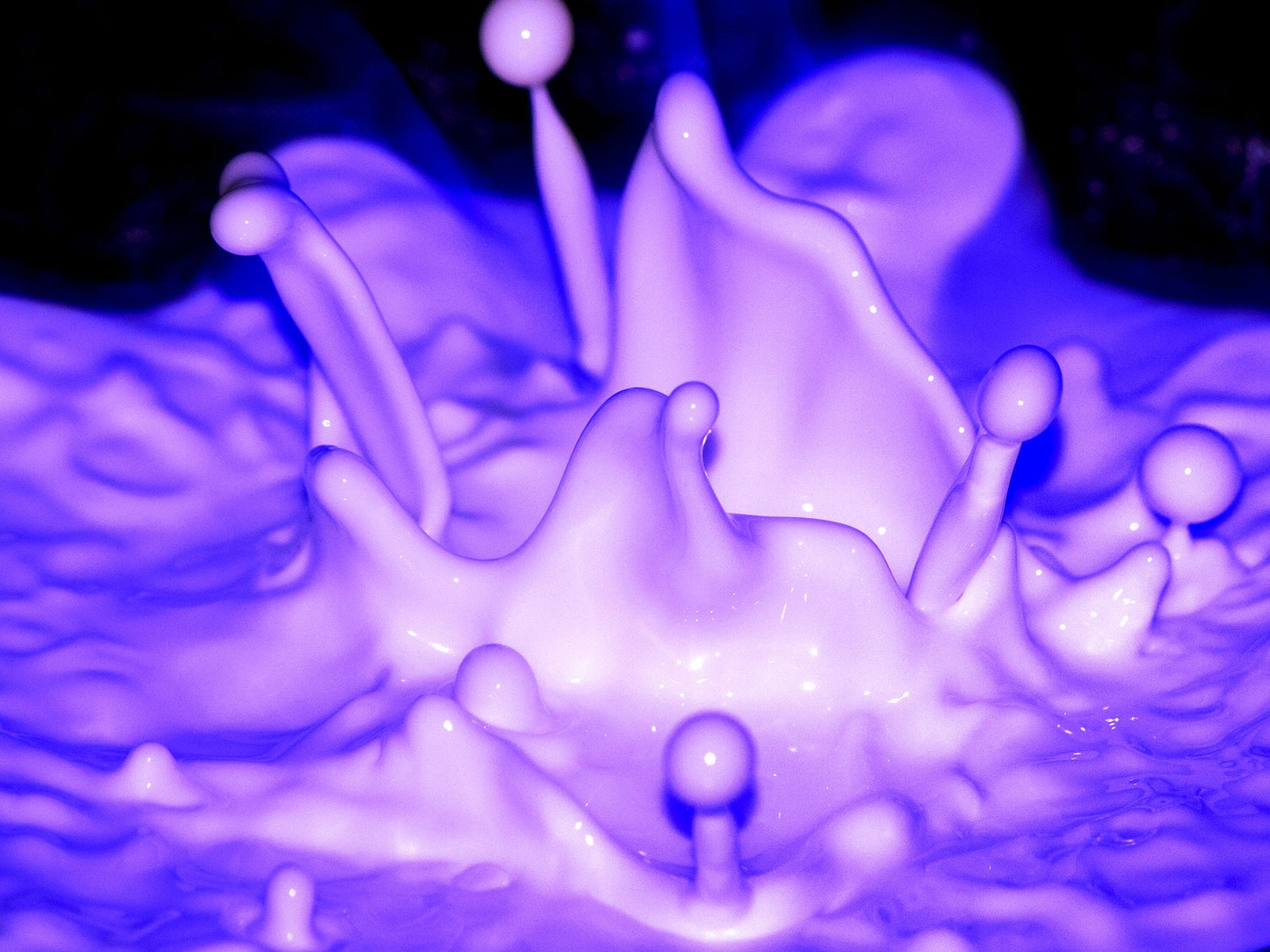 elastic purple fluid