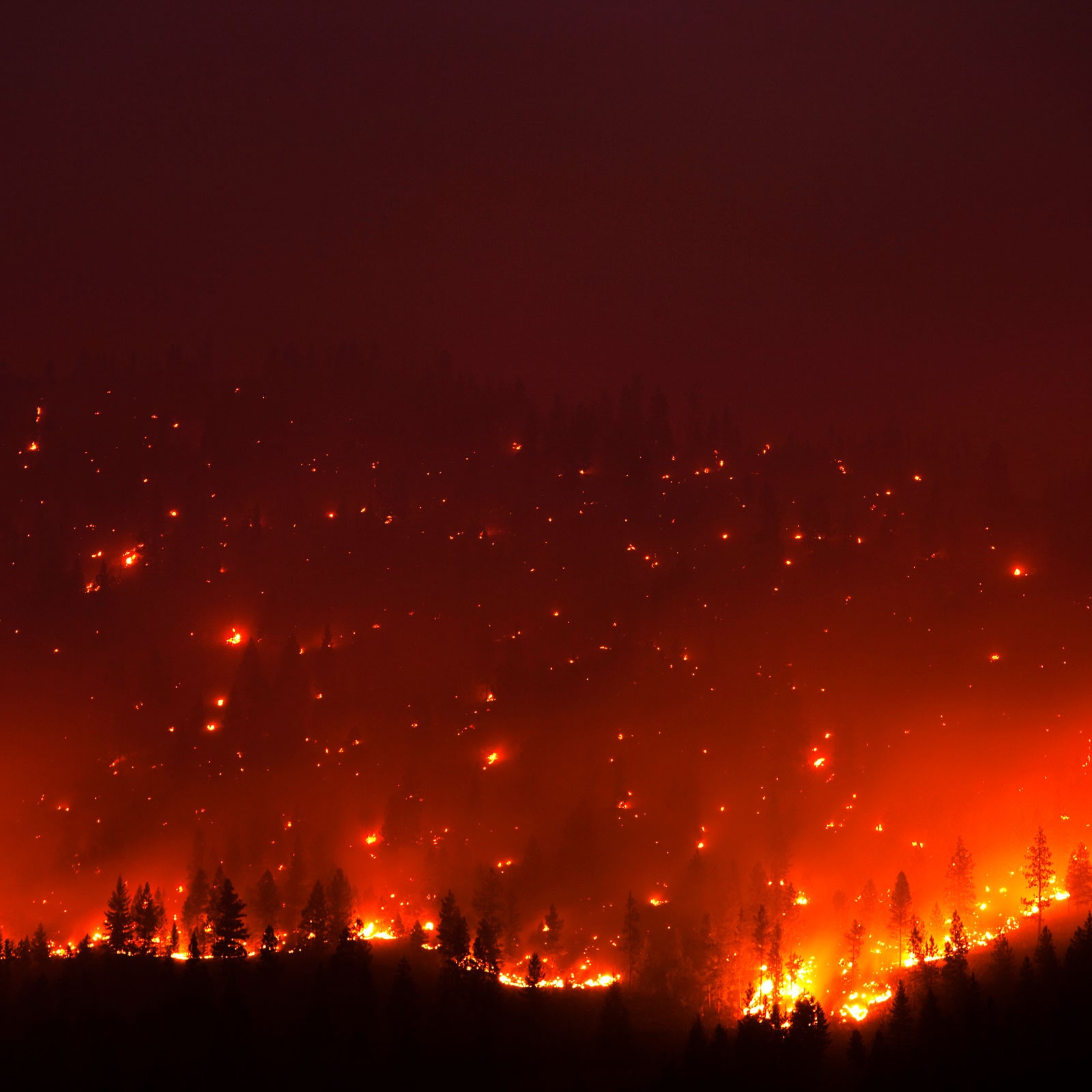 wildfire on a mountain