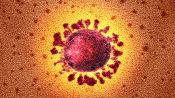 Q&A: What's Next for the Coronavirus Pandemic?